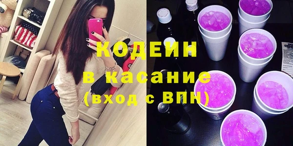 шишки Лабытнанги