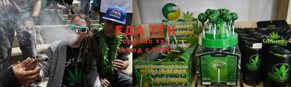 шишки Лабытнанги