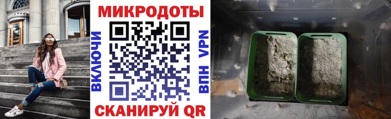 Галлюциногенные грибы Psilocybine cubensis Красный Сулин