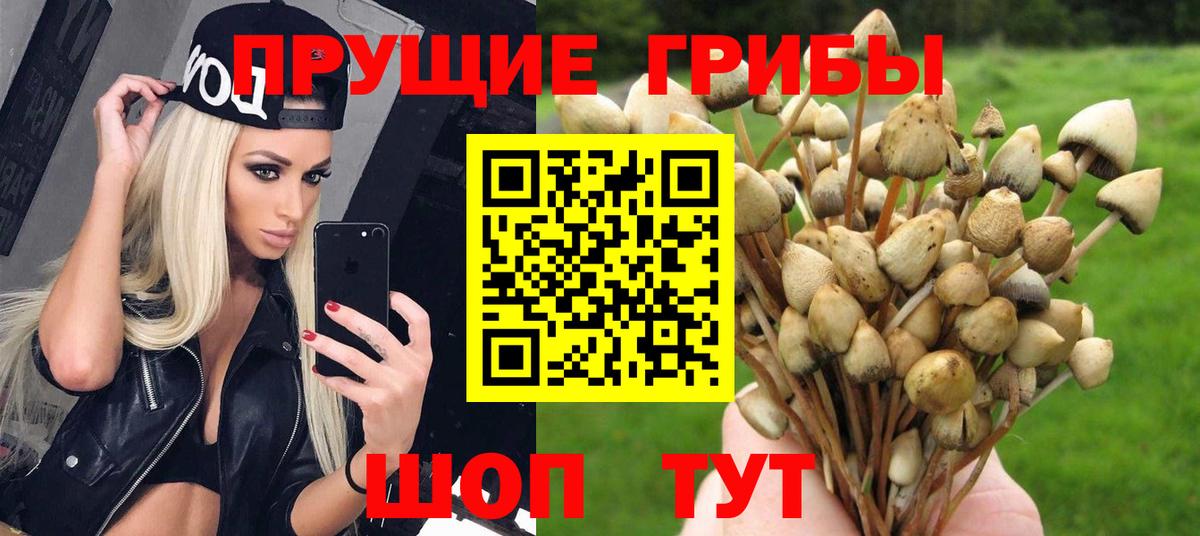 Галлюциногенные грибы мицелий Красный Сулин