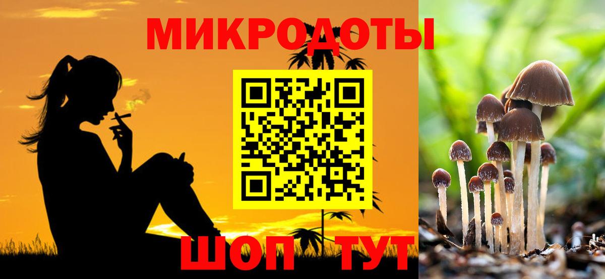 Красный Сулин  Псилоцибиновые грибы мухоморы  Вход с VPN 